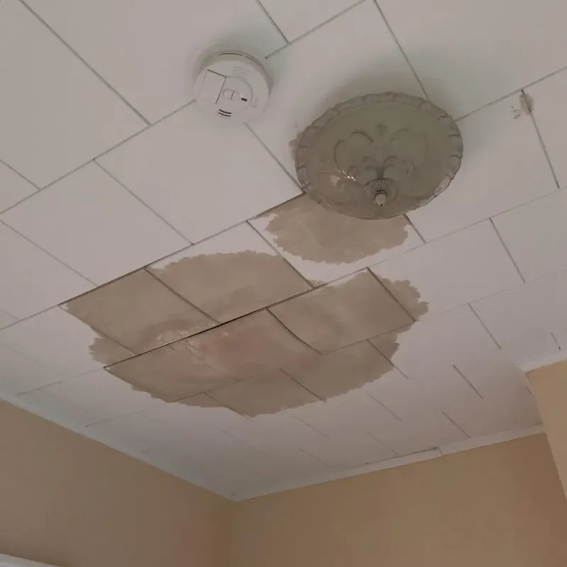 Ceiling Water Damage Repair in Webster, MA