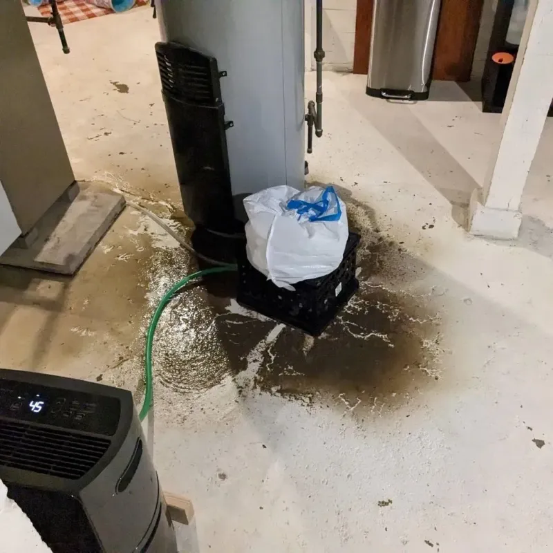 Sewage Backup Cleanup Service in Webster, MA